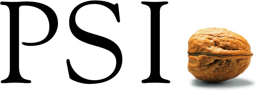 Logo des Unternehmen "PSI Energy Markets"
